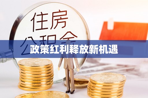 五原政策红利释放新机遇
