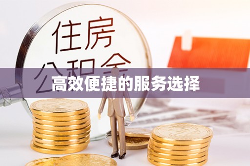 五原高效便捷的服务选择