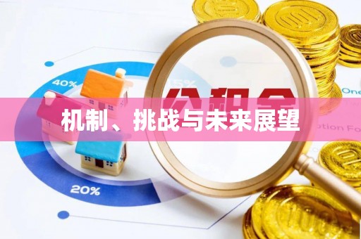 五原机制、挑战与未来展望